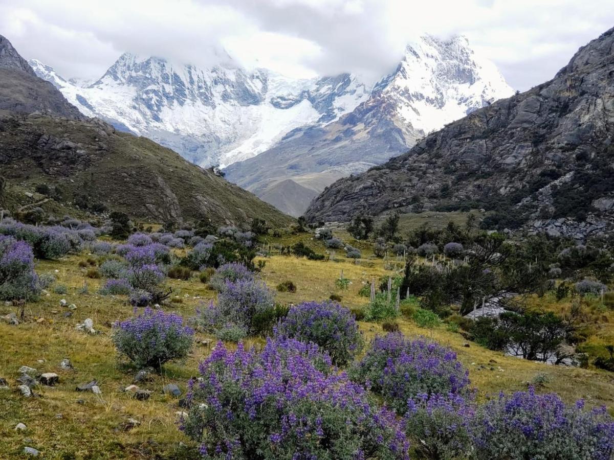 Lhotse Hostel B&B Huaraz  Esterno foto